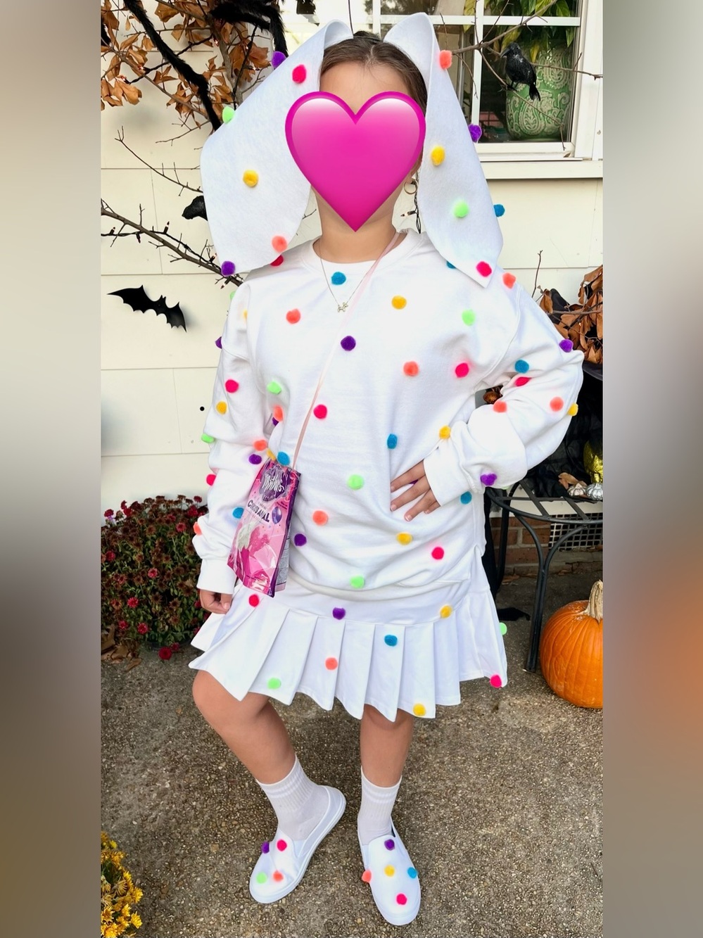 Adult Small/ Medium Homemade DYI Animal Cracker Halloween Costume Girl’s / Women